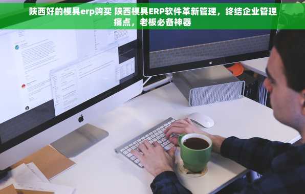 陕西好的模具erp购买 陕西模具ERP软件革新管理，终结企业管理痛点，老板必备神器
