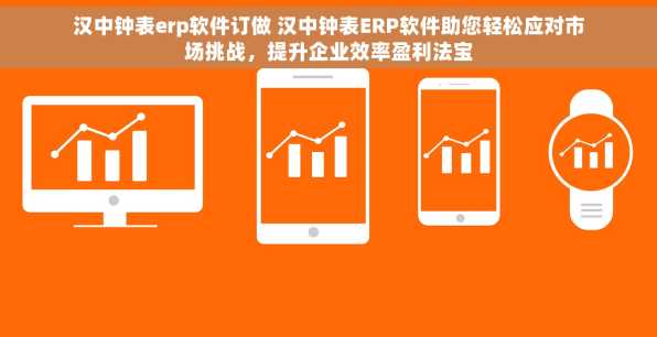 汉中钟表erp软件订做 汉中钟表ERP软件助您轻松应对市场挑战，提升企业效率盈利法宝