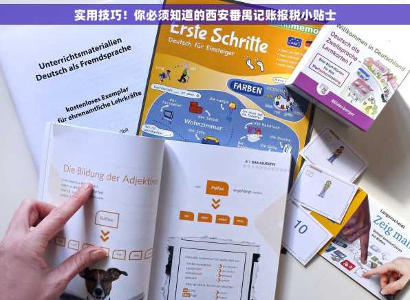 实用技巧！你必须知道的西安番禺记账报税小贴士