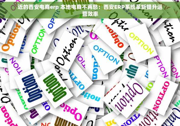 近的西安电商erp 本地电商不再愁：西安ERP系统革新提升运营效率