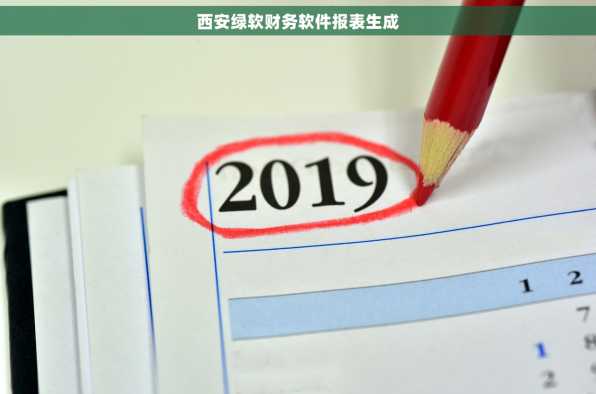 西安绿软财务软件报表生成