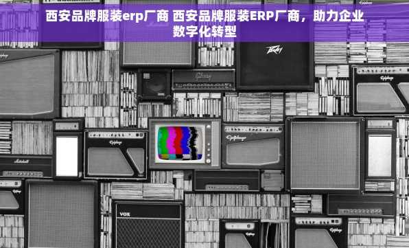 西安品牌服装erp厂商 西安品牌服装ERP厂商，助力企业数字化转型