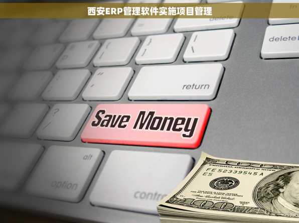 西安ERP管理软件实施项目管理