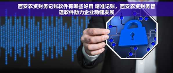 西安农资财务记账软件有哪些好用 精准记账，西安农资财务管理软件助力企业稳健发展
