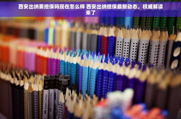 西安出纳要担保吗现在怎么样 西安出纳担保最新动态，权威解读来了