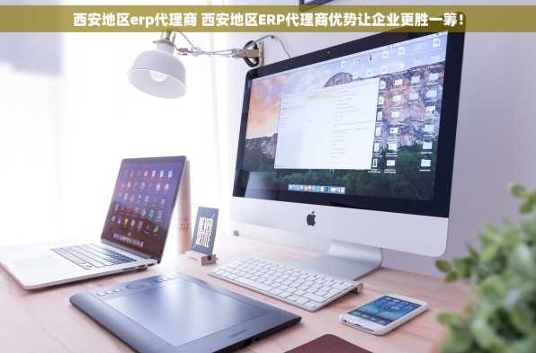 西安地区erp代理商 西安地区ERP代理商优势让企业更胜一筹！