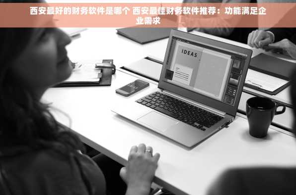 西安最好的财务软件是哪个 西安最佳财务软件推荐：功能满足企业需求