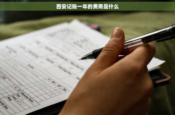 西安记账一年的费用是什么