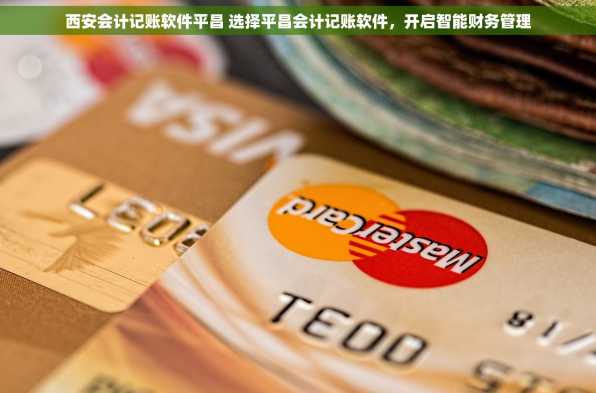 西安会计记账软件平昌 选择平昌会计记账软件，开启智能财务管理