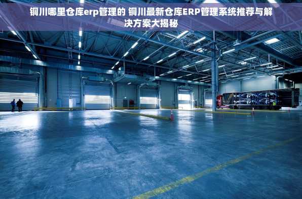 铜川哪里仓库erp管理的 铜川最新仓库ERP管理系统推荐与解决方案大揭秘