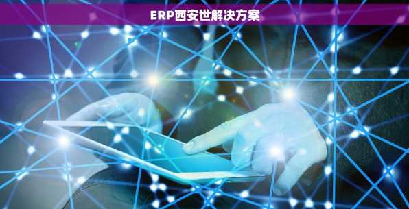 ERP西安世解决方案