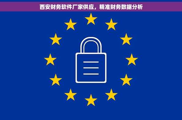 西安财务软件厂家供应，精准财务数据分析