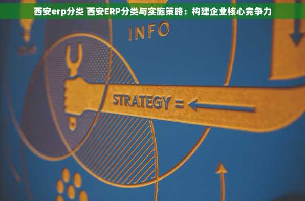 西安erp分类 西安ERP分类与实施策略：构建企业核心竞争力
