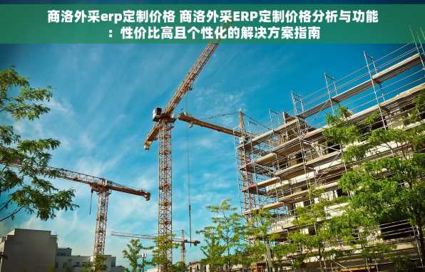 商洛外采erp定制价格 商洛外采ERP定制价格分析与功能：性价比高且个性化的解决方案指南