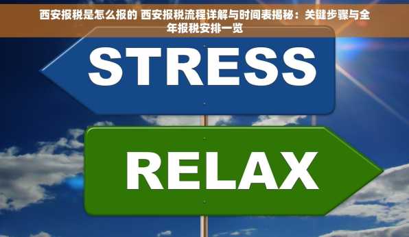 西安报税是怎么报的 西安报税流程详解与时间表揭秘：关键步骤与全年报税安排一览