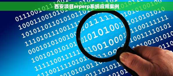 西安项目erperp系统应用案例