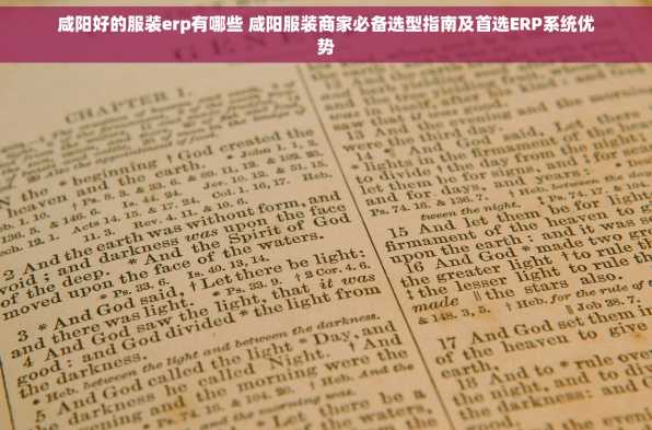 咸阳好的服装erp有哪些 咸阳服装商家必备选型指南及首选ERP系统优势