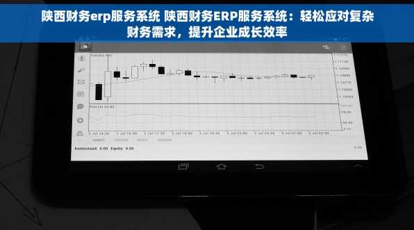 陕西财务erp服务系统 陕西财务ERP服务系统：轻松应对复杂财务需求，提升企业成长效率