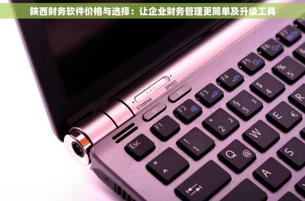 陕西财务软件价格与选择：让企业财务管理更简单及升级工具