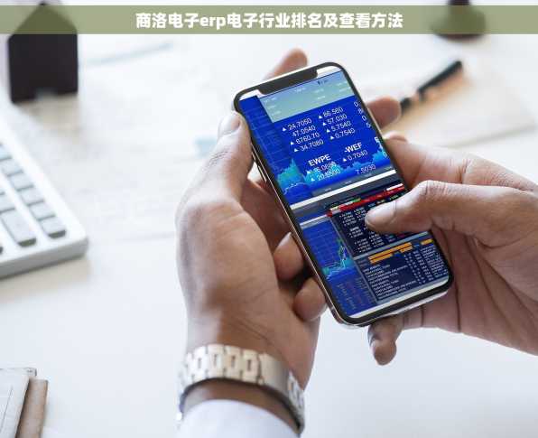 商洛电子erp电子行业排名及查看方法