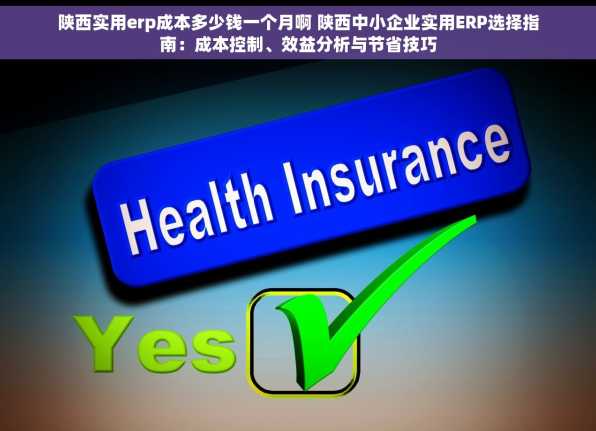 陕西实用erp成本多少钱一个月啊 陕西中小企业实用ERP选择指南：成本控制、效益分析与节省技巧