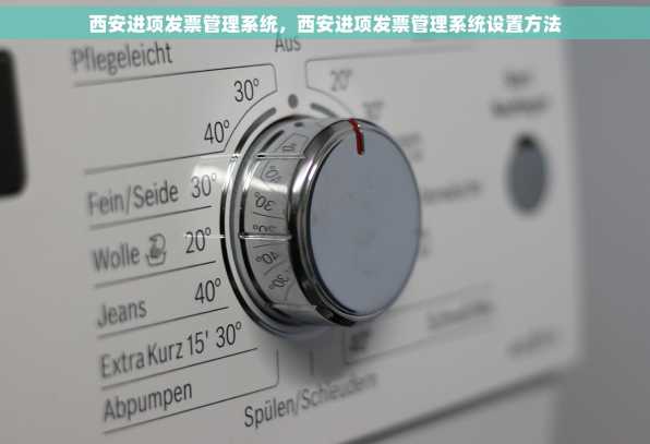 西安进项发票管理系统，西安进项发票管理系统设置方法