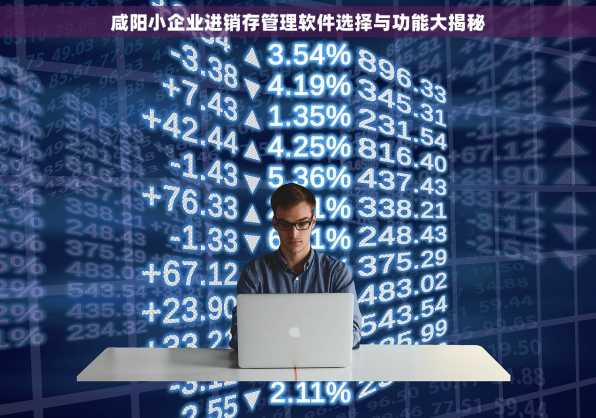 咸阳小企业进销存管理软件选择与功能大揭秘