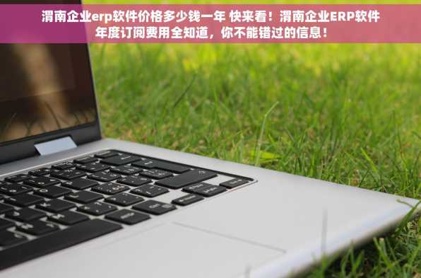 渭南企业erp软件价格多少钱一年 快来看！渭南企业ERP软件年度订阅费用全知道，你不能错过的信息！