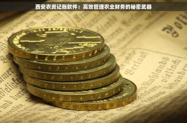 西安农资记账软件：高效管理农业财务的秘密武器