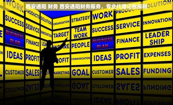 西安通阳 财务 西安通阳财务服务，专业代理记账报税