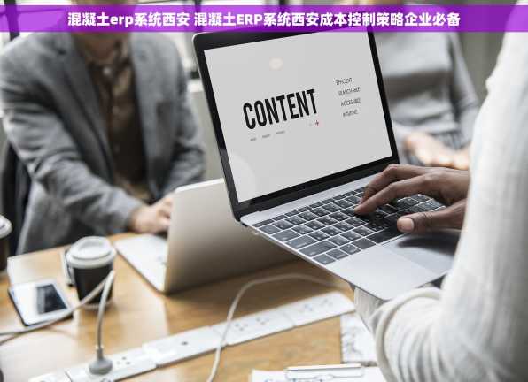 混凝土erp系统西安 混凝土ERP系统西安成本控制策略企业必备