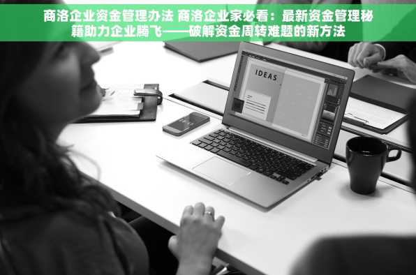 商洛企业资金管理办法 商洛企业家必看：最新资金管理秘籍助力企业腾飞——破解资金周转难题的新方法