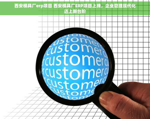 西安模具厂erp项目 西安模具厂ERP项目上线，企业管理现代化迈上新台阶
