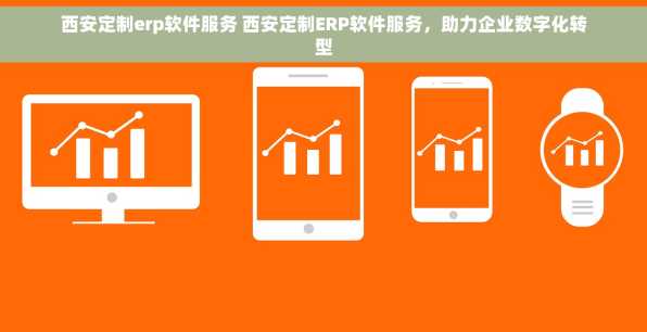 西安定制erp软件服务 西安定制ERP软件服务，助力企业数字化转型