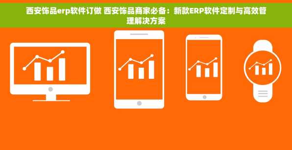 西安饰品erp软件订做 西安饰品商家必备：新款ERP软件定制与高效管理解决方案