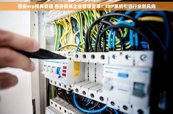 西安erp模具管理 西安模具企业管理变革：ERP系统引领行业新风向