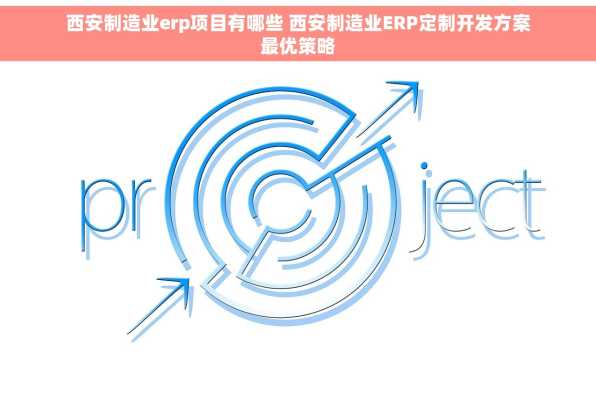 西安制造业erp项目有哪些 西安制造业ERP定制开发方案最优策略