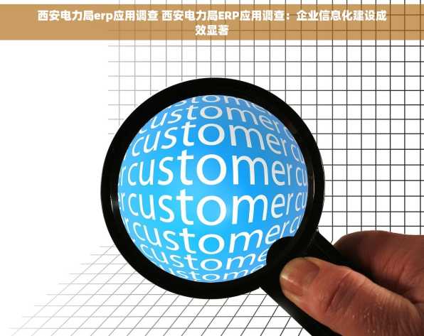 西安电力局erp应用调查 西安电力局ERP应用调查：企业信息化建设成效显著