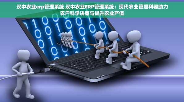 汉中农业erp管理系统 汉中农业ERP管理系统：现代农业管理利器助力农户科学决策与提升农业产值