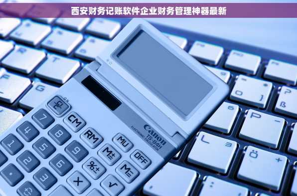 西安财务记账软件企业财务管理神器最新