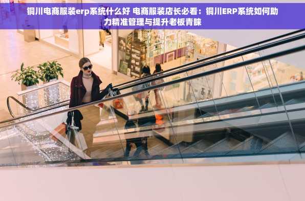 铜川电商服装erp系统什么好 电商服装店长必看：铜川ERP系统如何助力精准管理与提升老板青睐