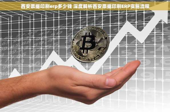 西安票据印刷erp多少钱 深度解析西安票据印刷ERP实施流程