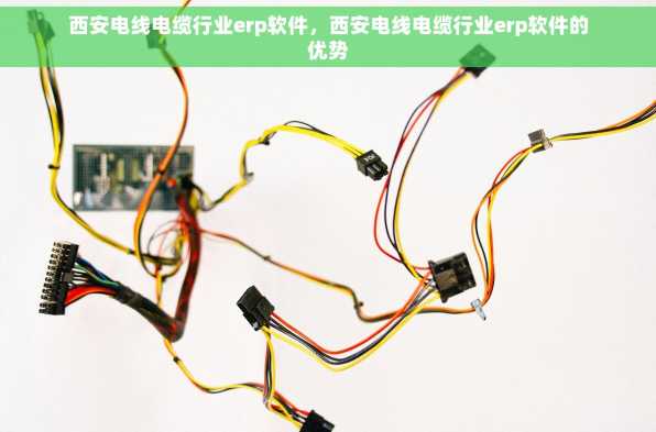 西安电线电缆行业erp软件，西安电线电缆行业erp软件的优势