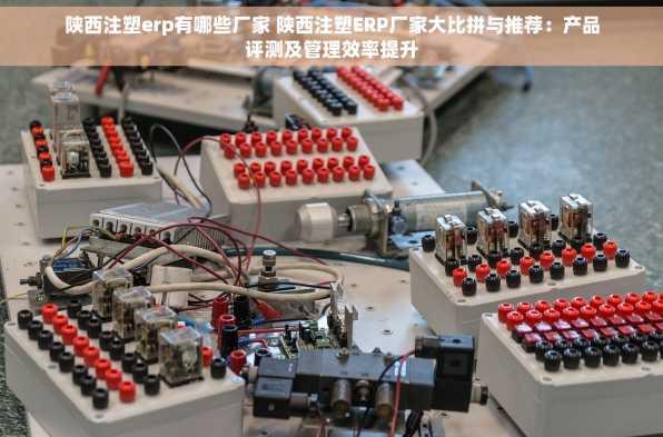 陕西注塑erp有哪些厂家 陕西注塑ERP厂家大比拼与推荐：产品评测及管理效率提升