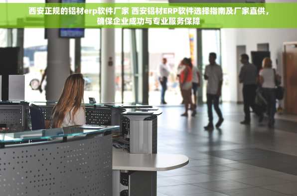 西安正规的铝材erp软件厂家 西安铝材ERP软件选择指南及厂家直供，确保企业成功与专业服务保障