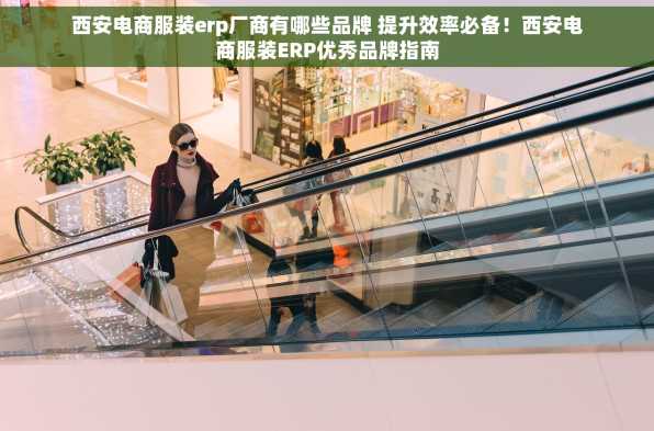西安电商服装erp厂商有哪些品牌 提升效率必备！西安电商服装ERP优秀品牌指南