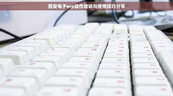 西安电子erp操作培训与使用技巧分享