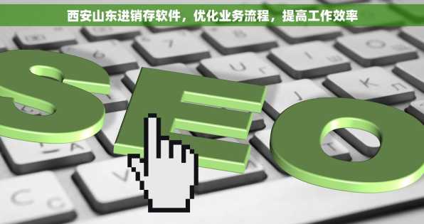 西安山东进销存软件，优化业务流程，提高工作效率