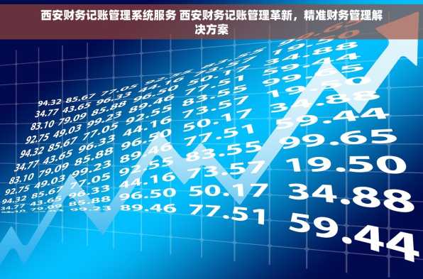 西安财务记账管理系统服务 西安财务记账管理革新，精准财务管理解决方案