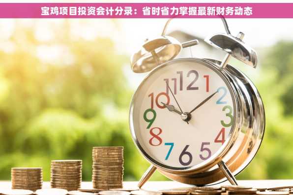 宝鸡项目投资会计分录：省时省力掌握最新财务动态